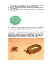 Laimo ligos borelijos 5 puslapis