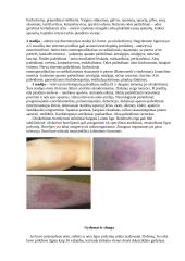 Laimo ligos borelijos 7 puslapis