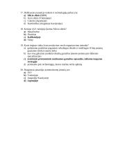 Pramonės patikrinimas 3 puslapis