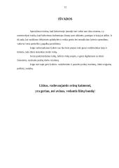 Lyderiavimo samprata 12 puslapis