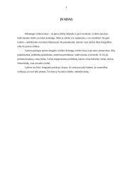 Lyderiavimo samprata 3 puslapis