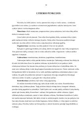 Lyderiavimo samprata 10 puslapis