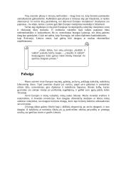 Lietuva — Europos sąjungos narė 8 puslapis