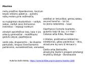 Aidas Marčėnas (g. 1960 m. rugsėjo 24 d.) 11 puslapis