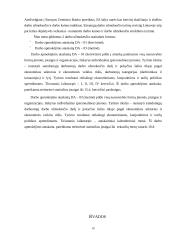 Lietuvos darbo statistika 17 puslapis