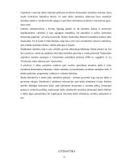 Lietuvos darbo statistika 18 puslapis