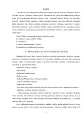 Lietuvos darbo statistika 3 puslapis