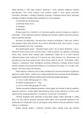 Lietuvos darbo statistika 4 puslapis