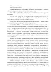 Lietuvos darbo statistika 7 puslapis