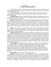 Lietuvos delegacijos į Japoniją vizitų vadyba ir protokoliniai moterų aprangos reikalavimai 2 puslapis