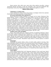 Lietuvos delegacijos į Japoniją vizitų vadyba ir protokoliniai moterų aprangos reikalavimai 11 puslapis