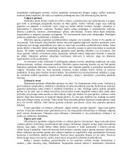 Lietuvos delegacijos į Japoniją vizitų vadyba ir protokoliniai moterų aprangos reikalavimai 12 puslapis