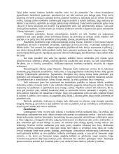 Lietuvos delegacijos į Japoniją vizitų vadyba ir protokoliniai moterų aprangos reikalavimai 14 puslapis