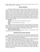 Lietuvos delegacijos į Japoniją vizitų vadyba ir protokoliniai moterų aprangos reikalavimai 17 puslapis