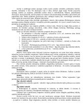 Lietuvos delegacijos į Japoniją vizitų vadyba ir protokoliniai moterų aprangos reikalavimai 18 puslapis