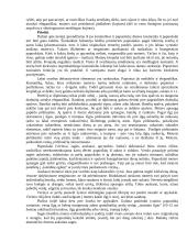 Lietuvos delegacijos į Japoniją vizitų vadyba ir protokoliniai moterų aprangos reikalavimai 19 puslapis