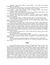 Lietuvos delegacijos į Japoniją vizitų vadyba ir protokoliniai moterų aprangos reikalavimai 20 puslapis