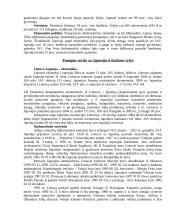 Lietuvos delegacijos į Japoniją vizitų vadyba ir protokoliniai moterų aprangos reikalavimai 3 puslapis