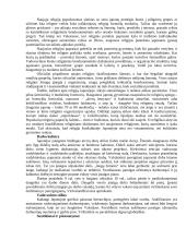 Lietuvos delegacijos į Japoniją vizitų vadyba ir protokoliniai moterų aprangos reikalavimai 8 puslapis