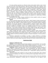 Lietuvos delegacijos į Japoniją vizitų vadyba ir protokoliniai moterų aprangos reikalavimai 9 puslapis