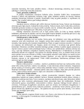 Lietuvos delegacijos į Japoniją vizitų vadyba ir protokoliniai moterų aprangos reikalavimai 10 puslapis