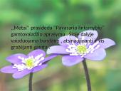 Kristijonas Donelaitis ’’Pavasario linksmybės’’  2 puslapis