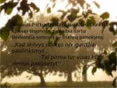 Kristijonas Donelaitis ’’Pavasario linksmybės’’  11 puslapis