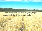 Kristijonas Donelaitis ’’Pavasario linksmybės’’  14 puslapis