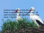 Kristijonas Donelaitis ’’Pavasario linksmybės’’  4 puslapis