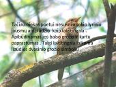 Kristijonas Donelaitis ’’Pavasario linksmybės’’  5 puslapis