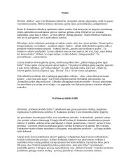 Henriko Radausko eilėraščių analizė 2 puslapis