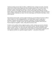 Henriko Radausko eilėraščių analizė 3 puslapis