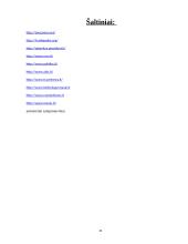 Lietuvos ekonominis bendradarbiavimas su Tanzanija 11 puslapis