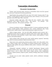 Lietuvos ekonominis bendradarbiavimas su Tanzanija 4 puslapis