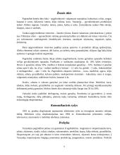 Lietuvos ekonominis bendradarbiavimas su Tanzanija 5 puslapis