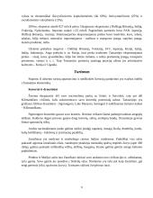 Lietuvos ekonominis bendradarbiavimas su Tanzanija 6 puslapis