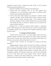 Lietuvos ekonominių rodiklių analizė 2003-2007 metais 4 puslapis