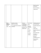 11- 12 klasės lietuvių literatūros kūrinių apžvalga 13 puslapis