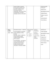 11- 12 klasės lietuvių literatūros kūrinių apžvalga 7 puslapis