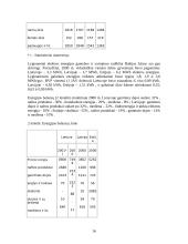 Lietuvos elektros energija: tiekimo strategija, plėtra, prognozės 16 puslapis