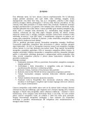 Lietuvos elektros energija: tiekimo strategija, plėtra, prognozės 3 puslapis