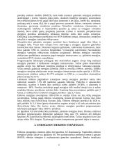 Lietuvos elektros energija: tiekimo strategija, plėtra, prognozės 6 puslapis