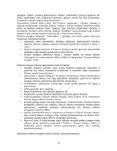 Lietuvos elektros energija: tiekimo strategija, plėtra, prognozės 10 puslapis