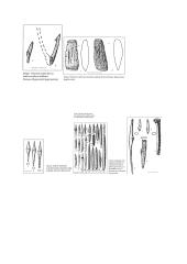 Kaulo ir rago dirbinių technologija akmens amžiuje 11 puslapis