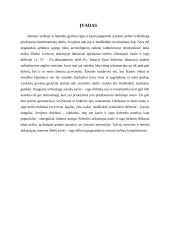 Kaulo ir rago dirbinių technologija akmens amžiuje 3 puslapis