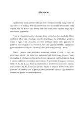 Kaulo ir rago dirbinių technologija akmens amžiuje 7 puslapis