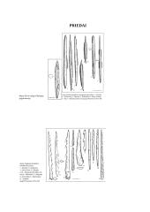 Kaulo ir rago dirbinių technologija akmens amžiuje 9 puslapis