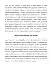 Lietuvos gamybos bei prekių ir paslaugų rinkų plėtra 4 puslapis