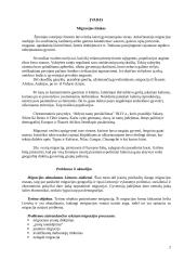 Lietuvos gyventojų migracija 2 puslapis