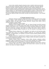 Lietuvos gyventojų migracija 12 puslapis